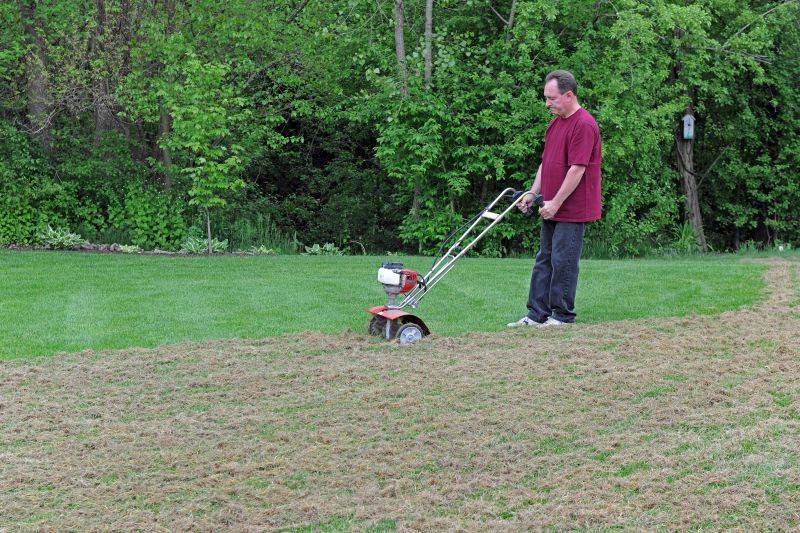 Dethatching Services for Lawn Maintenance