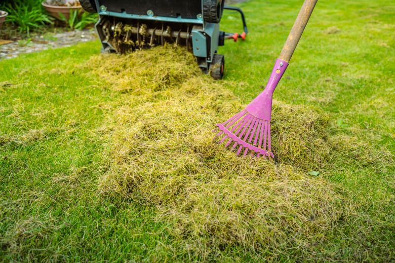Dethatching