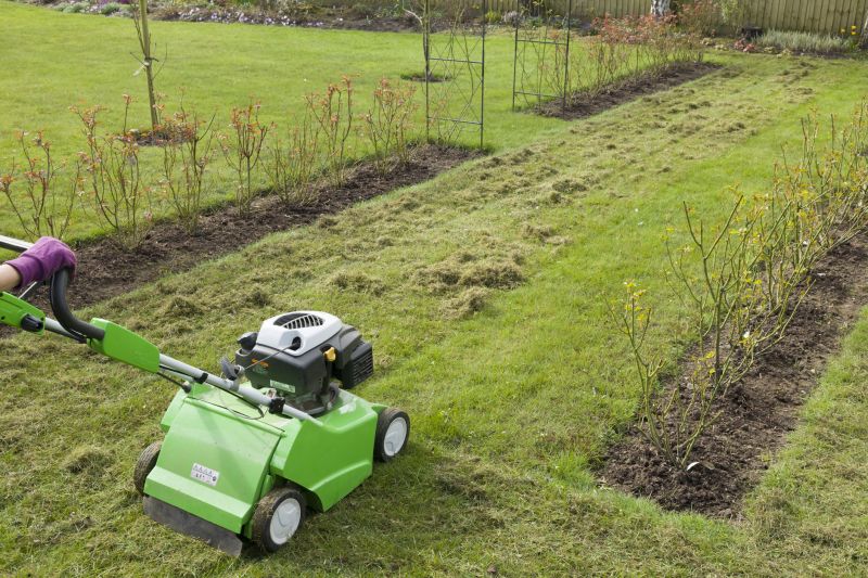 Cost of Dethatching — Cost of Dethatching