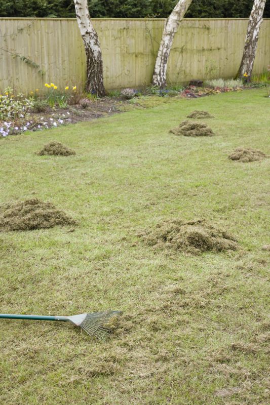 Cost of Dethatching — Cost of Dethatching