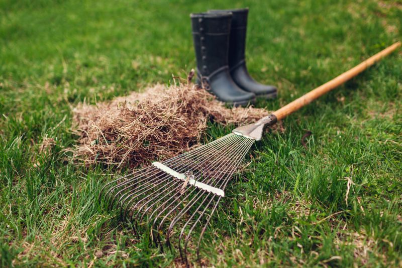Cost of Dethatching — Cost of Dethatching