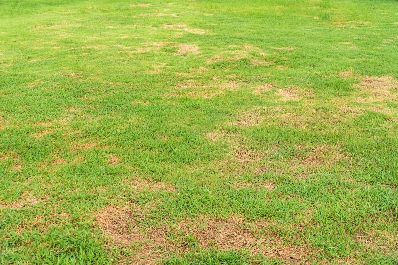 Healthy Turf Recovery