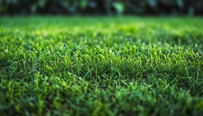 Zoysia Grass Installation in Rockwall, TX